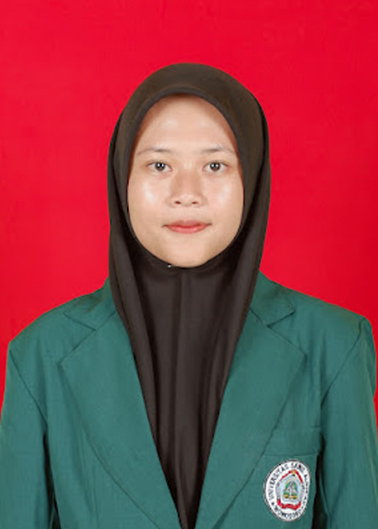 Memori 6
